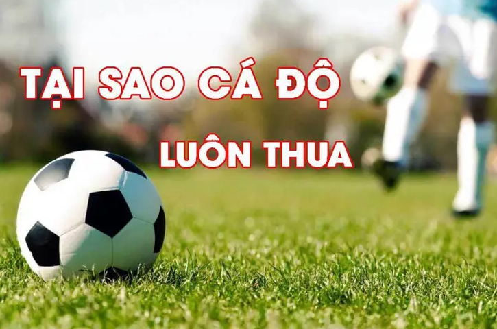 Hé Lộ Cách Cá Độ Bóng Đá Tài Xỉu Dễ Thắng Từ Các Cao Thủ